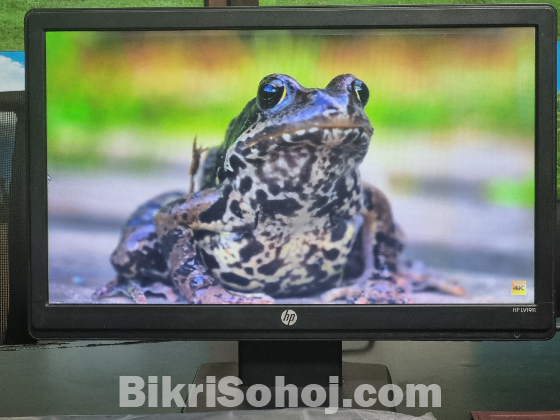 HP LCD MONITOR 18.5